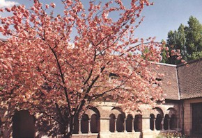 1-hamb-02.jpg (34480 bytes)